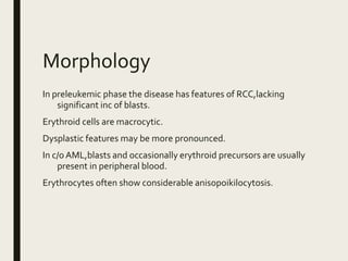 Morphology
In preleukemic phase the disease has features of RCC,lacking
significant inc of blasts.
Erythroid cells are macrocytic.
Dysplastic features may be more pronounced.
In c/o AML,blasts and occasionally erythroid precursors are usually
present in peripheral blood.
Erythrocytes often show considerable anisopoikilocytosis.
 
