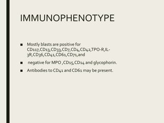IMMUNOPHENOTYPE
■ Mostly blasts are positive for
CD117,CD13,CD33,CD7,CD4,CD42,TPO-R,IL-
3R,CD36,CD41,CD61,CD71,and
■ negative for MPO ,CD15,CD14 and glycophorin.
■ Antibodies to CD41 and CD61 may be present.
 