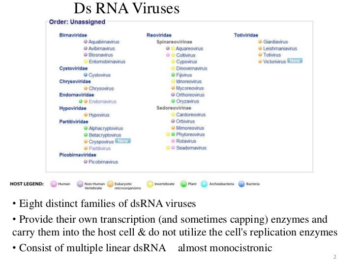 Ds Rna Plant Viruses