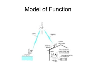 Model of Function 