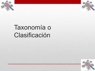 Taxonomía o
Clasificación
 