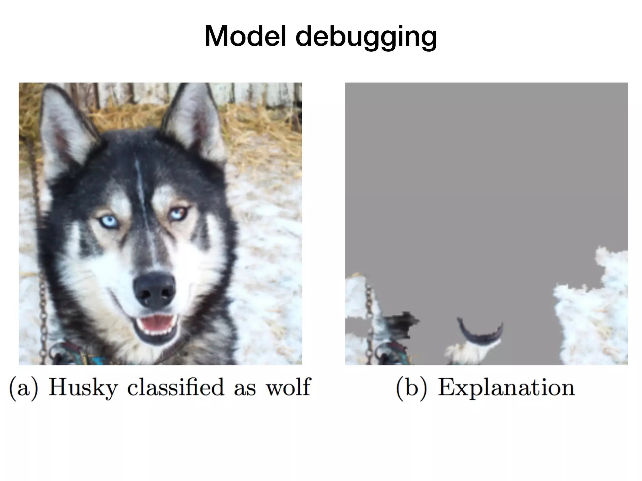 LIME / live
vs

Break Down
Model debugging
 