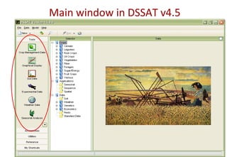 Main window in DSSAT v4.5
 