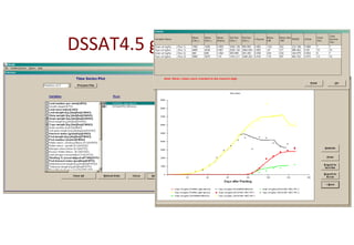 DSSAT4.5 graphics screens
 