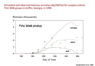 Simulated and observed biomass accretion (kg DM/ha) for cowpea cultivar
TVU 3046 grown in Griffin, Georgia, in 1998




                                                             canopy




                                                             stem



                                                      leaf




                                                                    Hoogenboom et al., 2000
 