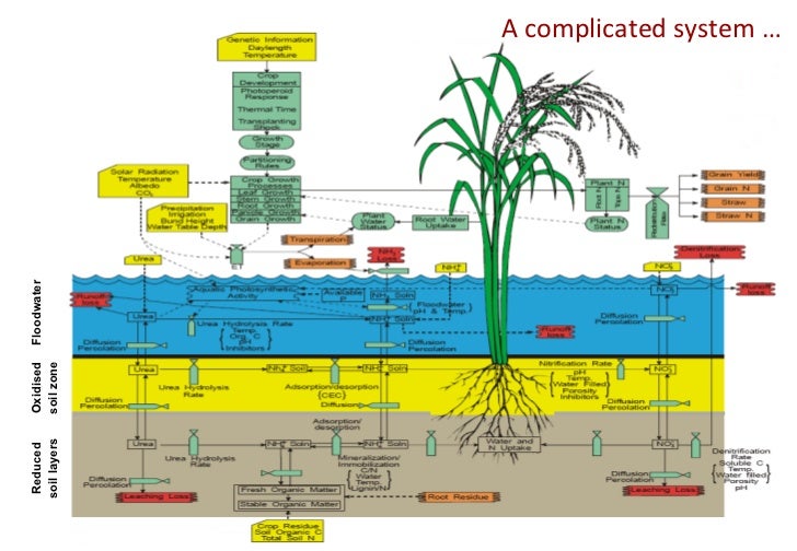 Crop modelling with the DSSAT