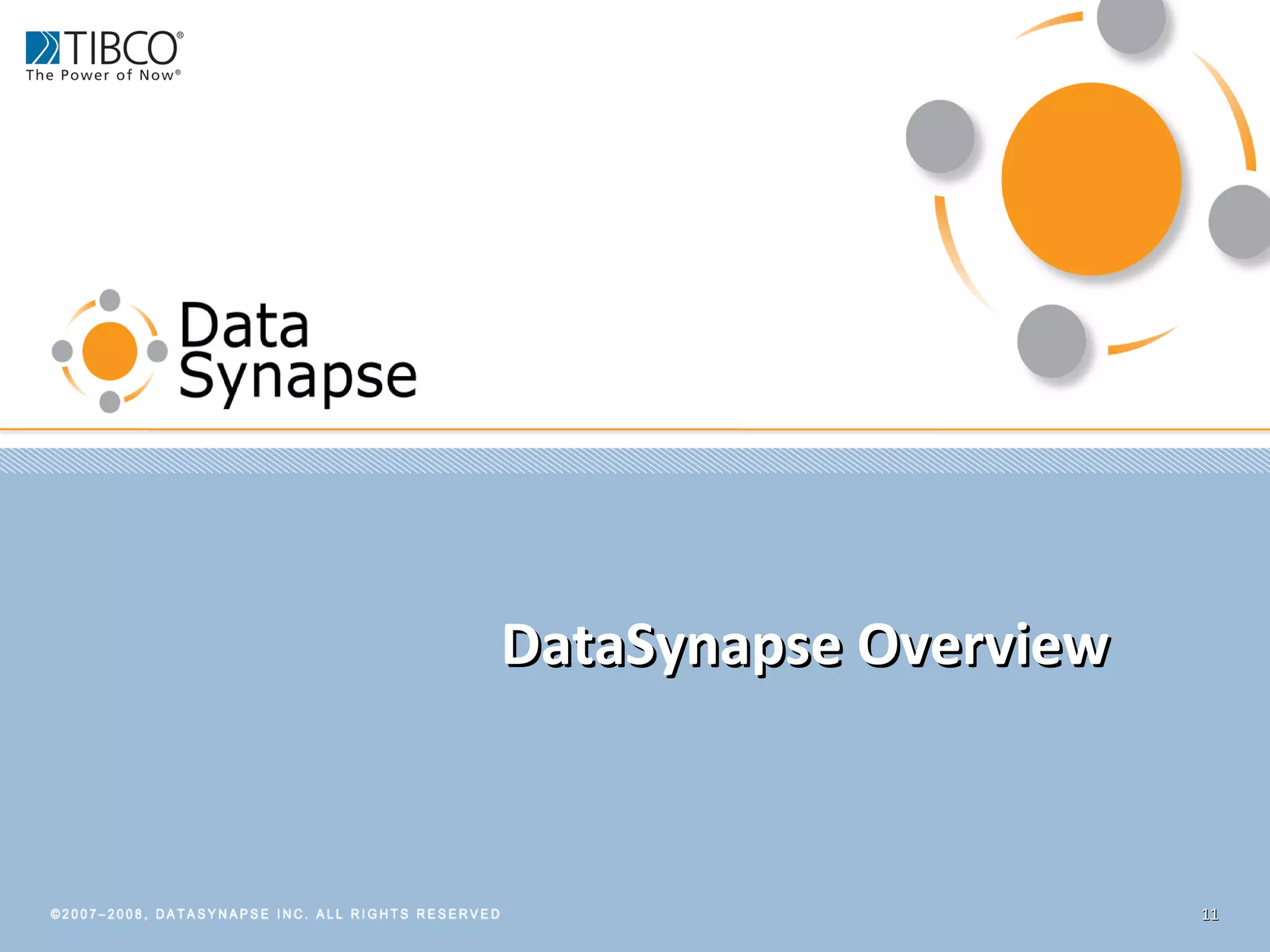 DataSynapse Overview 