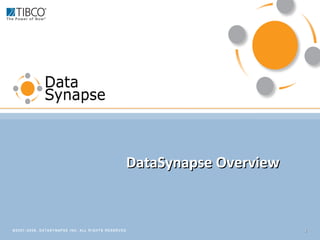 DataSynapse Overview 
