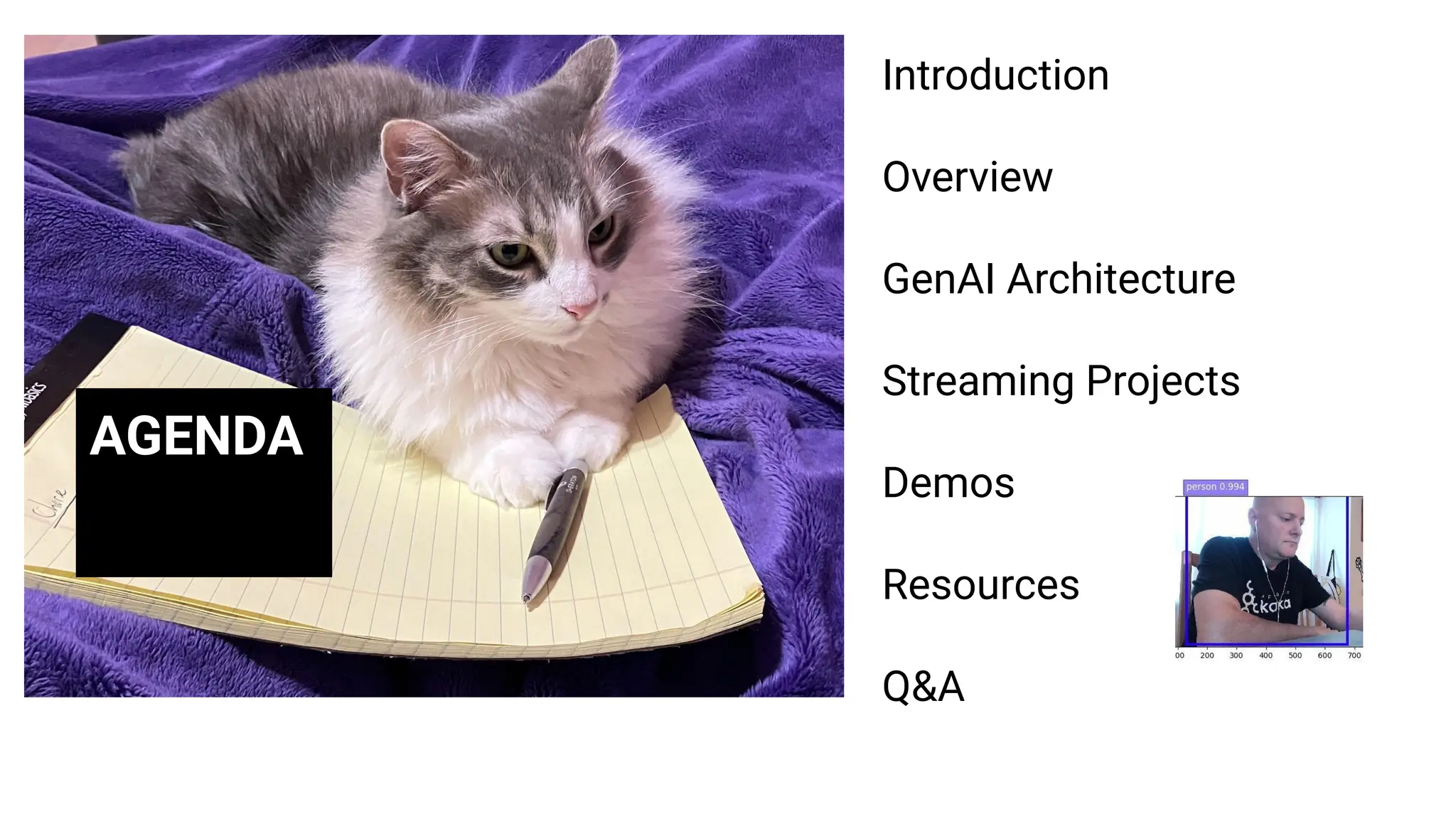 AGENDA
Introduction
Overview
GenAI Architecture
Streaming Projects
Demos
Resources
Q&A
 