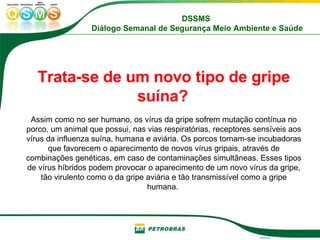 Trata-se de um novo tipo de gripe suína?   Assim como no ser humano, os vírus da gripe sofrem mutação contínua no porco, um animal que possui, nas vias respiratórias, receptores sensíveis aos vírus da influenza suína, humana e aviária. Os porcos tornam-se incubadoras que favorecem o aparecimento de novos vírus gripais, através de combinações genéticas, em caso de contaminações simultâneas. Esses tipos de vírus híbridos podem provocar o aparecimento de um novo vírus da gripe, tão virulento como o da gripe aviária e tão transmissível como a gripe humana.  