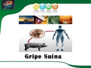 Gripe Suína 