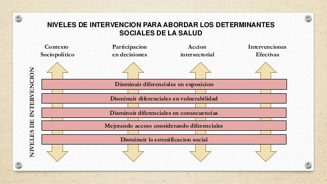 DSS SEGUN LA OMS DSS SEGUN LA OMS