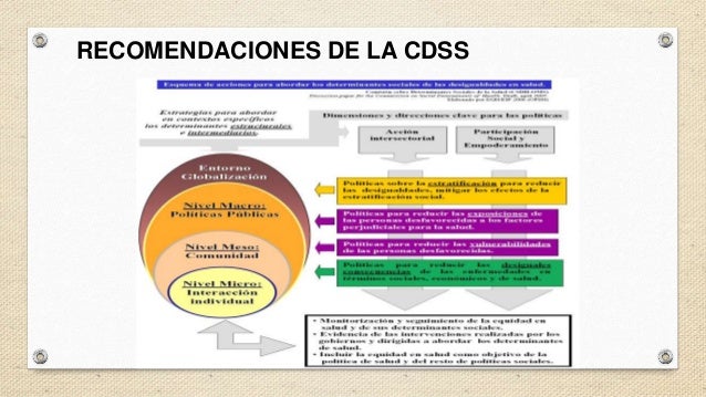 DSS SEGUN LA OMS DSS SEGUN LA OMS