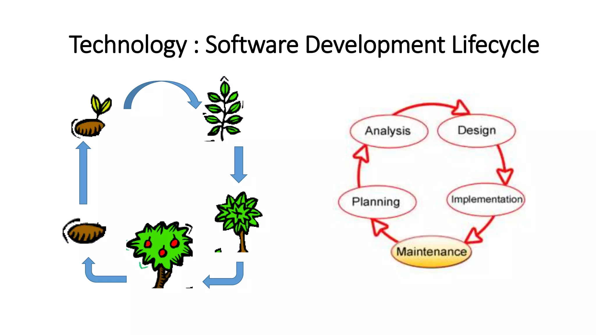 Technology : Software Development Lifecycle
 