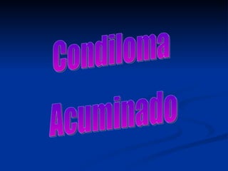 Acuminado Condiloma 