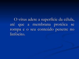 O vírus adere a superfície da célula, até que a membrana protéica se rompa e o seu conteúdo penetre no linfócito.  