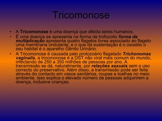 Tricomonose A  Tricomonose  é uma doença que afecta seres humanos. É uma doença se apresenta na forma de trofozoito  forma de multiplicação  apresenta quatro flagelos livres associado ao flagelo uma membrana ondulante, e o que dá sustentação é o oxostito o seu habitat é o aparelho Gênito Urinário. A Tricomonose é causada pelo protozoário flagelado  Trichonomas vaginalis , a tricomonose é a DST não viral mais comum do mundo, infectando de 250 a 350 milhões de pessoas por ano. A transmissão se dá, naturalmente, por  relações sexuais  sem o uso correcto do preservativo. Além disso, a transmissão pode ser feita através do contacto em vasos sanitários, roupas e toalhas no meio ambiente. Isso explica o elevado número de pessoas adquirirem a doença, inclusive crianças. 
