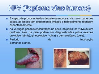 HPV (Papiloma vírus humano)
   É capaz de provocar lesões de pele ou mucosa. Na maior parte dos
    casos, as lesões têm crescimento limitado e habitualmente regridem
    espontaneamente.
   As verrugas genitais encontradas no ânus, no pênis, na vulva ou em
    qualquer área da pele podem ser diagnosticadas pelos exames
    urológico (pênis), ginecológico (vulva) e dermatológico (pele).
   Período                          de                        Incubação
    Semanas a anos.
 