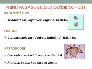 PROTOZOÁRIOS
 Trichomonas vaginalis: Vaginite, Uretrite.
FUNGOS
 Candida albicans: Vaginite (primária), Balanite.
ARTRÓPODES
 Sarcoptes scabiei: Escabiose Genital
 Phthirus pubis: Pediculose Genital
PRINCIPAISAGENTES ETIOLÓGICOS - DST
 