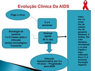 Pega o vírus
                                              Febre
                                              Dor no
                            2a4               corpo
                          semanas             Dor de
                                              cabeça
                                              Dor de
    Sorologia só                              garganta
        positiva           Doença             Náuseas, V
 3 a 6 meses após a        aguda              ômitos, Dia
       infecção           50 % dos            rréia
Janela imunológica:         casos             Gânglios
                                              Vermelhidã
      Transmite
                                              o na pele
                                              Fígado e
                                              baço
                                              inflamado
                                              Dura 2 a 4
                            Infecção          semanas
                      Assintomática por 5 a   Sorologia
                      10 anos – Progressão    negativa
                           para AIDS
 