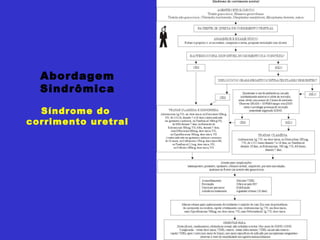 Abordagem Sindrômica Síndrome do  corrimento uretral 