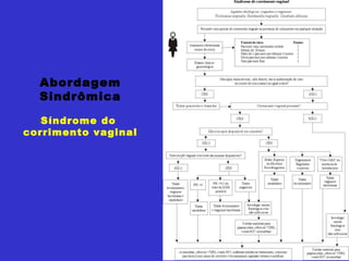 Abordagem Sindrômica Síndrome do  corrimento vaginal 