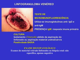 EXAME HISTOPATOLÓGICO Exames do material retirado linfonodos ou biópsia retal: não específico, apenas sugestivo LINFOGRANULOMA VENÉREO TESTE DE MICROIMUNOFLUORESCÊNCIA Utiliza-se imunoglobulinas anti- IgG e anti-IgM  PRESENÇA  IgM : resposta imune primária CULTURA Isolamento  Chlamydia  obtido da aspiração do linfonodo ou aspiração material uretral/cérvix Positividade BAIXA 