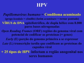 HPV Papillomavirus humano  =  Condiloma acuminado (grego  kondulo  = côndilo) (latim  acuminare  = tornar pontudo) VÍRUS de DNA  epiteliotrófico, de dupla hélice com 8.000 pares bases nitrogenadas Open Reading Frames  (ORF) regiões do genoma viral com potencial de codificar as proteínas (= genes) Early  (E) porção do genoma primeira a se expressar Late  (L) transcrição tardia que codificam as proteínas do capsídeo viral + 25 tipos de HPV  infectam a região anogenital nos seres humanos   