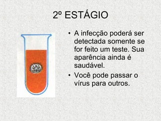 2º ESTÁGIO A infecção poderá ser detectada somente se for feito um teste. Sua aparência ainda é saudável. Você pode passar o vírus para outros. 