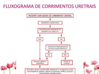 FLUXOGRAMA DE CORRIMENTOS URETRAIS
 