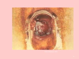 Fonte: Medgrupo, 2010.
74
 