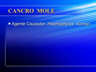 CANCRO  MOLE Agente Causador:  Haemophylus  ducreyi 
