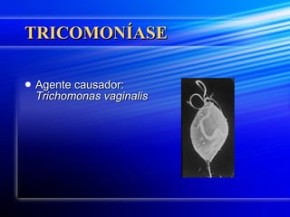 TRICOMONÍASE Agente causador:  Trichomonas vaginalis   