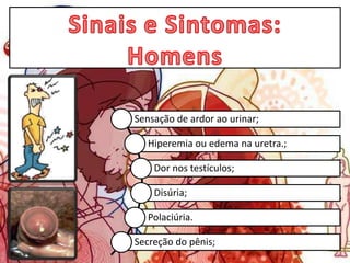 Sensação de ardor ao urinar;
Hiperemia ou edema na uretra.;
Dor nos testículos;
Disúria;
Polaciúria.
Secreção do pênis;
 