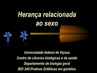 Herança relacionada
ao sexo
Universidade federal de Viçosa
Centro de ciências biológicas e da saúde
Departamento de biologia geral
BIO 245-Praticas Didáticas em genética
 