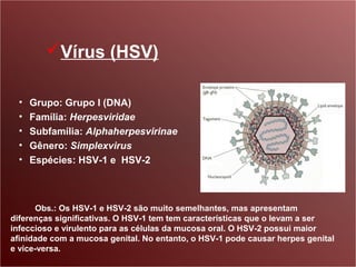Vírus (HSV)

  •   Grupo: Grupo I (DNA)
  •   Família: Herpesviridae
  •   Subfamília: Alphaherpesvirinae
  •   Gênero: Simplexvirus
  •   Espécies: HSV-1 e HSV-2



      Obs.: Os HSV-1 e HSV-2 são muito semelhantes, mas apresentam
diferenças significativas. O HSV-1 tem tem características que o levam a ser
infeccioso e virulento para as células da mucosa oral. O HSV-2 possui maior
afinidade com a mucosa genital. No entanto, o HSV-1 pode causar herpes genital
e vice-versa.
 