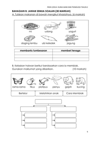 PKSR 2/2014: DUNIA SAINS DAN TEKNOLOGI TAHUN 2
6
BAHAGIAN B: JAWAB SEMUA SOALAN (30 MARKAH)
A. Tuliskan makanan di bawah mengikut khasiatnya. (6 markah)
membantu tumbesaran memberi tenaga
B. Kelaskan haiwan berikut berdasarkan cara ia membiak.
Gunakan maklumat yang diberikan. (10 markah)
rama-rama tikus platipus penyu gajah kucing
mi udang yogurt
daging lembu ubi keledek jagung
Bertelur Cara MembiakMelahirkan anak
 