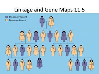 D:\Students Documents\Biology 11 5 | PPTX