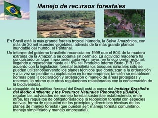 Manejo de recursos forestales En Brasil está la más grande foresta tropical húmeda, la Selva Amazónica, con más de 30 mil especies vegetales, además de la más grande planicie inundable del mundo, el Pantanal.  Un informe del gobierno brasileño reconocía en 1999 que el 80% de la madera extraída de la Amazonía se obtenía sin permiso. La actividad maderera ha conquistado un lugar importante, cada vez mayor, en la economía regional, llegando a representar hasta el 15% del Producto Interno Bruto (PIB) De acuerdo con la legislación forestal brasileña los bosques naturales sólo se pueden utilizar observando los planes técnicos que conduzcan a la ordenación y a la vez se prohíbe su explotación en forma empírica; también se establecen normas para la declaración y ordenación o manejo de áreas protegidas y reservas, lo mismo que otras regulaciones relacionadas con la conservación de la biodiversidad.  La ejecución de la política forestal del Brasil está a cargo del  Instituto Brasileño del Medio Ambiente y los Recursos Naturales Renovables (IBAMA),  regulan las actividades de manejo forestal sostenible estableciendo, entre otros, los requisitos de obligatoriedad de la reposición forestal con especies nativas, forma de ejecución de los principios y directrices técnicas de los planes de manejo forestal (que pueden ser: manejo forestal comunitario, manejo simplificado y manejo empresarial).  
