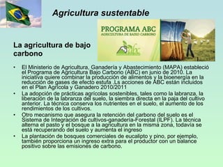 Agricultura sustentable La agricultura de bajo  carbono   El Ministerio de Agricultura, Ganadería y Abastecimiento (MAPA) estableció el Programa de Agricultura Bajo Carbono (ABC) en junio de 2010. La iniciativa quiere combinar la producción de alimentos y la bioenergía en la reducción de gases de efecto estufa .Ls acciones de ABC están incluidos en el Plan Agrícola y Ganadero 2010/2011 La adopción de prácticas agrícolas sostenibles, tales como la labranza, la liberación de la labranza del suelo, la siembra directa en la paja del cultivo anterior. La técnica conserva los nutrientes en el suelo, el aumento de los rendimientos de los cultivos.  Otro mecanismo que asegura la retención del carbono del suelo es el Sistema de Integración de cultivos-ganadería-Forestal (ILPF). La técnica alterna el pasto y el bosque a la agricultura en la misma zona, todavía se está recuperando del suelo y aumenta el ingreso La plantación de bosques comerciales de eucalipto y pino, por ejemplo, también proporciona un ingreso extra para el productor con un balance positivo sobre las emisiones de carbono. 