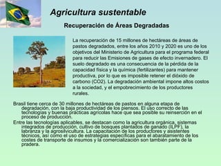 Agricultura sustentable Brasil tiene cerca de 30 millones de hectáreas de pastos en alguna etapa de degradación, con la baja productividad de los piensos. El uso correcto de las tecnologías y buenas prácticas agrícolas hace que sea posible su reinserción en el proceso de producción. Entre las tecnologías aplicables, se destacan como la agricultura orgánica, sistemas integrados de producción, cultivo de bosques plantados de ganado (ILPF), la labranza y la agrosilvicultura. La capacitación de los productores y asistentes técnicos, así como el uso de estrategias específicas para el abaratamiento de los costes de transporte de insumos y la comercialización son también parte de la pradera. La recuperación  de 15 millones de hectáreas de áreas de pastos degradados, entre los años 2010 y 2020 es uno de los objetivos del Ministerio de Agricultura para el programa federal para reducir las Emisiones de gases de efecto invernadero. El suelo degradado es una consecuencia de la pérdida de la capacidad física y la química (fertilizantes) para mantener productiva, por lo que es imposible retener el dióxido de carbono (CO2). La degradación ambiental impone altos costos a la sociedad, y el empobrecimiento de los productores rurales. Recuperación de Áreas Degradadas 