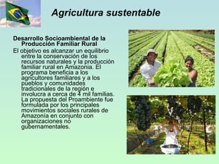 Agricultura sustentable Desarrollo Socioambiental de la Producción Familiar Rural El objetivo es alcanzar un equilibrio entre la conservación de los recursos naturales y la producción familiar rural en Amazonia. El programa beneficia a los agricultores familiares y a los pueblos y comunidades tradicionales de la región e  involucra a cerca de 4 mil familias. La propuesta del Proambiente fue formulada por los principales movimientos sociales rurales de Amazonía en conjunto con organizaciones no gubernamentales.  