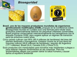 Bioseguridad Brasil, uno de los mayores productores mundiales de organismos genéticamente modificados (OGM),  propuso en la Conferencia sobre Bioseguridad reunida en Curitiba (sur) una fórmula para rotular esos productos potencialmente dañinos sin perjudicar intereses comerciales. Brasil propone comercializar internacionalmente los transgénicos con la etiqueta Contiene OGM, pero sugiere aplicar un régimen de transición para los próximos cuatro años, Cinco países cultivan casi 95% (85,4 millones de hectáreas) del área del planeta destinada a transgénicos. Estados Unidos es el que tiene los mayores cultivos (49,8 millones de hectáreas), seguido de Argentina (17,1 millones), Brasil (9,4), Canadá (5,8) y China (3,3), Esos productos son manipulados para tornarlos más resistentes a plagas o para obtener mejores rendimientos en las cosechas. Pero los ambientalistas alegan que pueden dañar la salud humana y causar daños al equilibrio ambiental 
