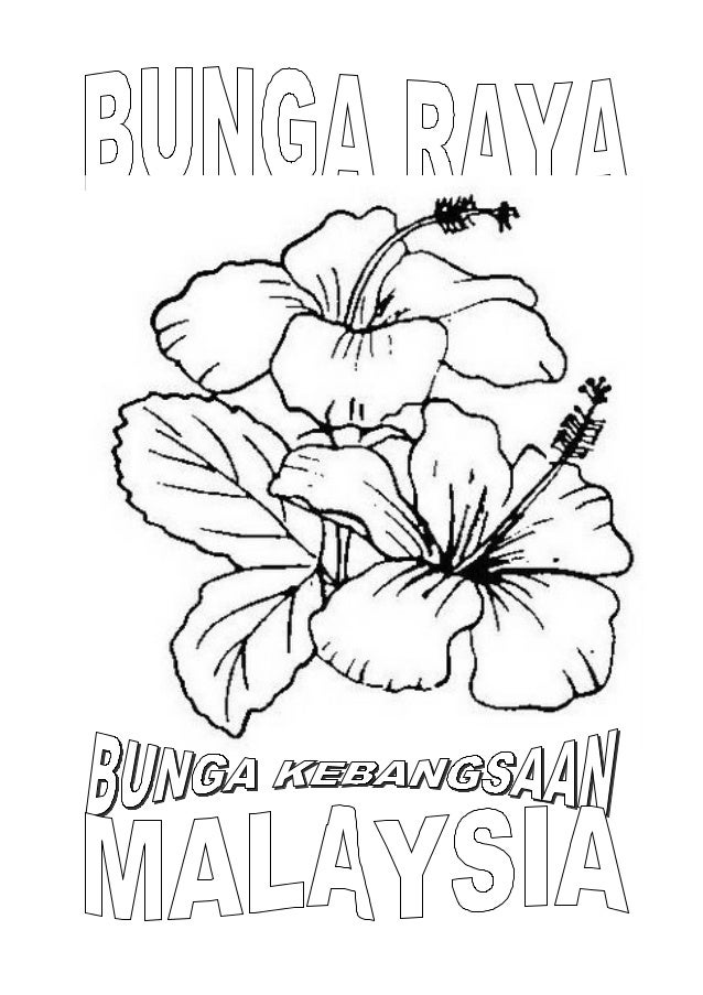 Dsv bunga raya 