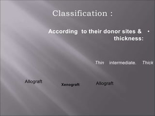 Classification :
According to their donor sites & •
thickness:
Thin intermediate. Thick
Xenograft Allograft
Allograft
 