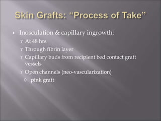  Inosculation & capillary ingrowth:
 At 48 hrs
 Through fibrin layer
 Capillary buds from recipient bed contact graft
vessels
 Open channels (neo-vascularization)
 pink graft
 