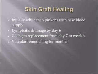 Initially white then pinkens with new blood
supply



Lymphatic drainage by day 6
Collagen replacement from day 7 to week 6
Vascular remodelling for months
 