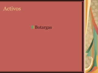 Activos Botargas 