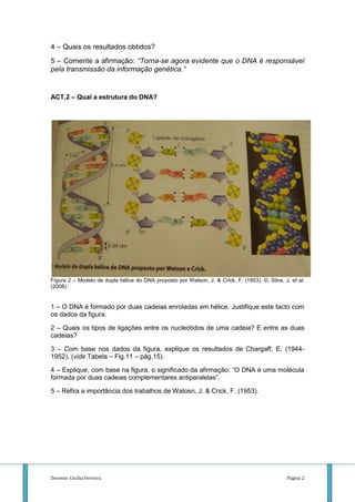 4 – Quais os resultados obtidos?
5 – Comente a afirmação: “Torna-se agora evidente que o DNA é responsável
pela transmissão da informação genética.”


ACT.2 – Qual a estrutura do DNA?




Figura 2 – Modelo de dupla hélice do DNA proposto por Watson, J. & Crick, F. (1953), ©, Silva, J. et al.
(2008).


1 – O DNA é formado por duas cadeias enroladas em hélice. Justifique este facto com
os dados da figura.

2 – Quais os tipos de ligações entre os nucleótidos de uma cadeia? E entre as duas
cadeias?

3 – Com base nos dados da figura, explique os resultados de Chargaff, E. (1944-
1952), (vide Tabela – Fig.11 – pág.15).

4 – Explique, com base na figura, o significado da afirmação: “O DNA é uma molécula
formada por duas cadeias complementares antiparalelas”.

5 – Refira a importância dos trabalhos de Watosn, J. & Crick, F. (1953).




Docente: Cecília Ferreira                                                                       Página 2
 