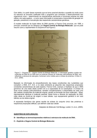 Com efeito, é a partir desse momento que se torna possível abordar a questão do modo como
na natureza se encontra codificado todo o programa que comanda o desenvolvimento dos
organismos vivos – determinando as características estruturais e funcionais próprias de cada
célula e de cada espécie – e como essa informação é conservada e transmitida de geração em
geração, presidindo à manutenção das respectivas características genéticas.

O modelo molecular da dupla hélice do DNA permitiu a Francis Crick enunciar, em 1958, o
princípio universal que se designou por Dogma Central da Biologia Molecular, que se pode
resumir como o representado no Esquema III da Figura 2.




 Figura 2 – Esquema III – Dogma Central da Biologia Molecular. A informação genética contida nas
 moléculas de DNA flui do DNA para as proteínas através de moléculas intermediárias de RNA, que,
 reflectindo a estrutura de cada gene, funcionam como moldes para a síntese de proteínas, © Silva, A.
 et al., (2008).


Baseado na informação do emparelhamento das bases constituintes dos nucleótidos que
compõem o DNA, A-T, G-C, e no dado entretanto já adquirido das respectivas proporções
constantes características de cada espécie, Francis Crick, avançou a hipótese de que o DNA
genómico de uma dada célula contém em si a capacidade de se autoduplicar. A síntese de
duas novas cadeias polinucleotídicas, também complementares e antiparalelas de cada uma
das cadeias constituintes da molécula original, resulta na formação de duas moléculas – filhas,
rigorosamente idênticas à molécula parental, Desta forma e através da replicação do DNA,
cada célula ao dividir-se dá origem a duas células, cujo equipamento genético é em tudo
idêntico ao da célula original.

A expressão fenotípica dos genes resulta da síntese do conjunto único das proteínas e
respectivas proporções alélicas, que definem cada tipo celular.

                                     Adaptado de Molecular Cell Biology, Lodish, S. et al., (2005).



QUESTÕES DE EXPLORAÇÃO:

B – Identifique os termos/expressões relativos à estrutura da molécula de DNA.

C – Explicite o Dogma Central da Biologia Molecular.




Docente: Cecília Ferreira                                                                       Página 3
 
